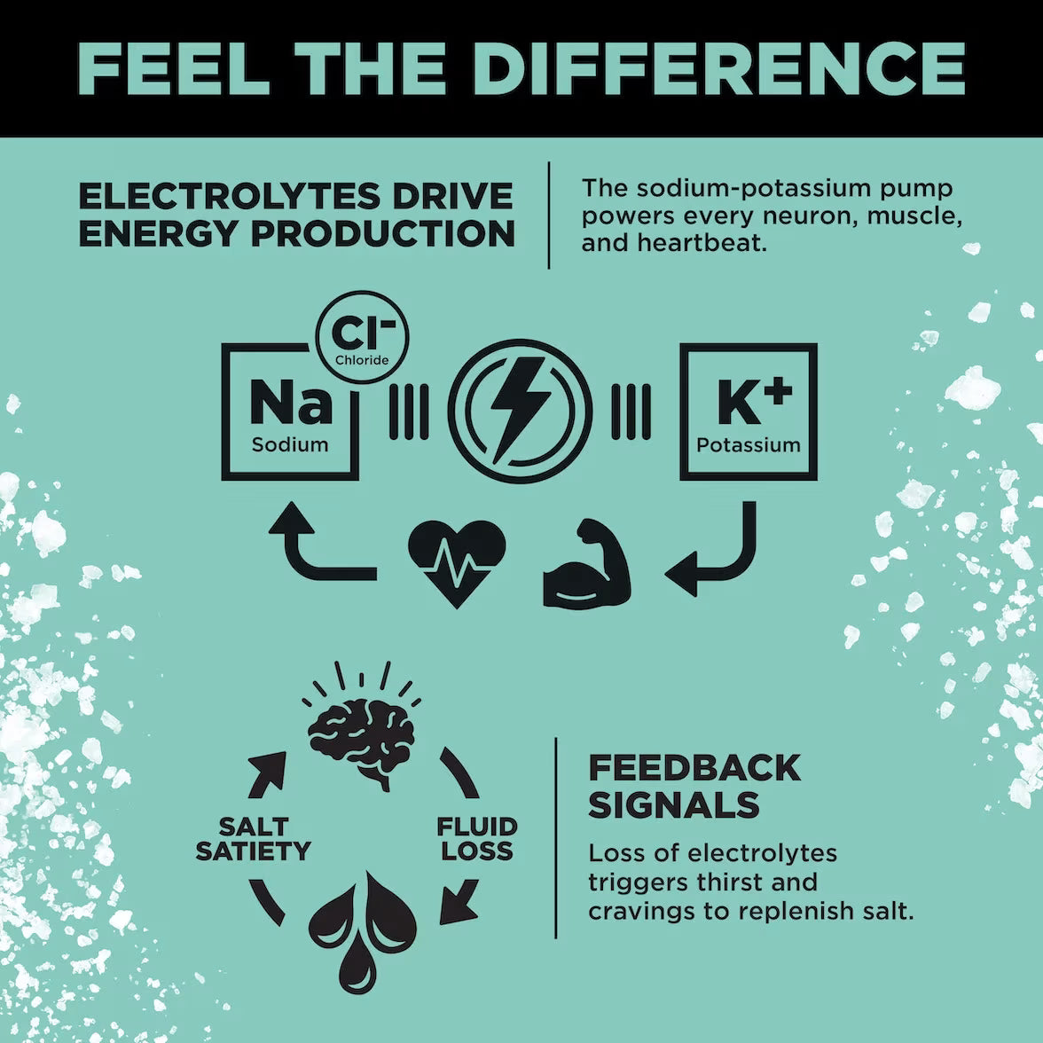 LMNT Zero-Sugar Electrolytes
