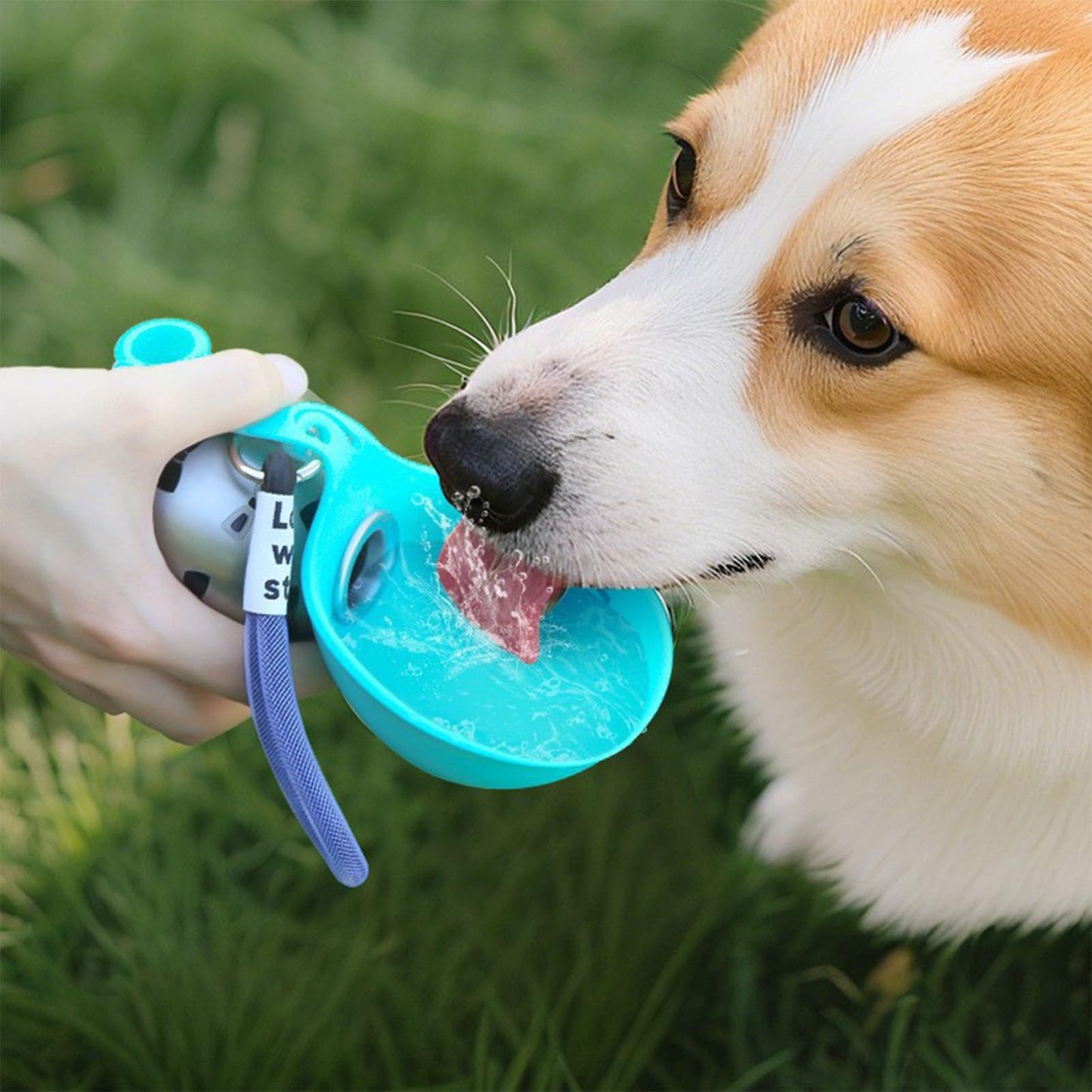 2-in-1 Portable Dog Water Bottle