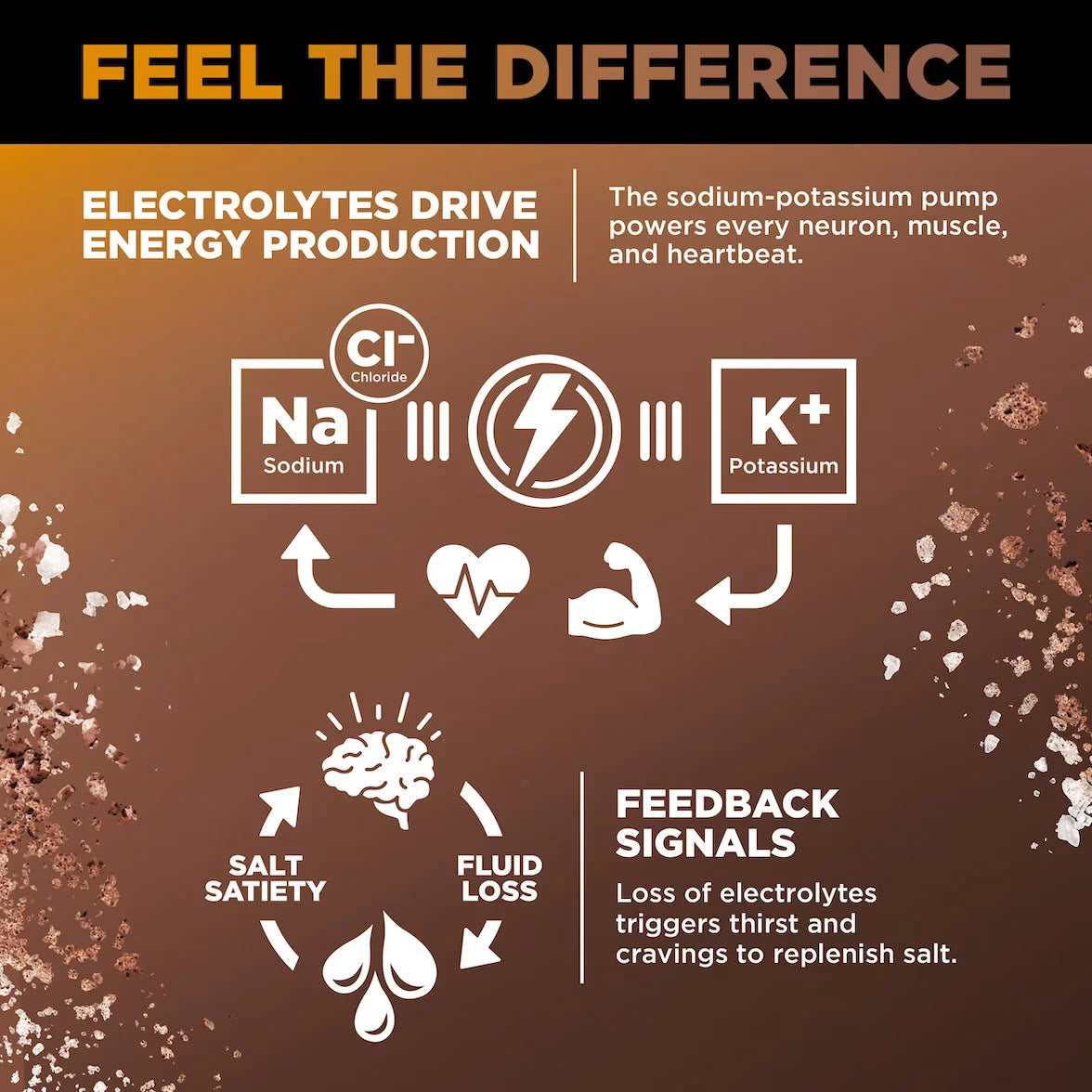 LMNT Zero-Sugar Electrolytes