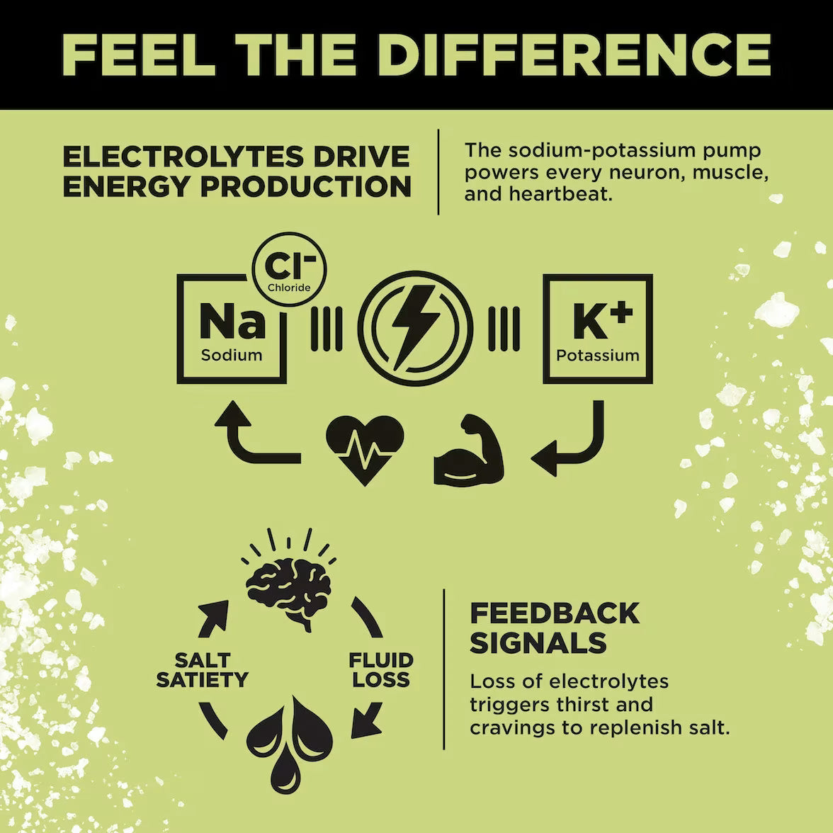 LMNT Zero-Sugar Electrolytes