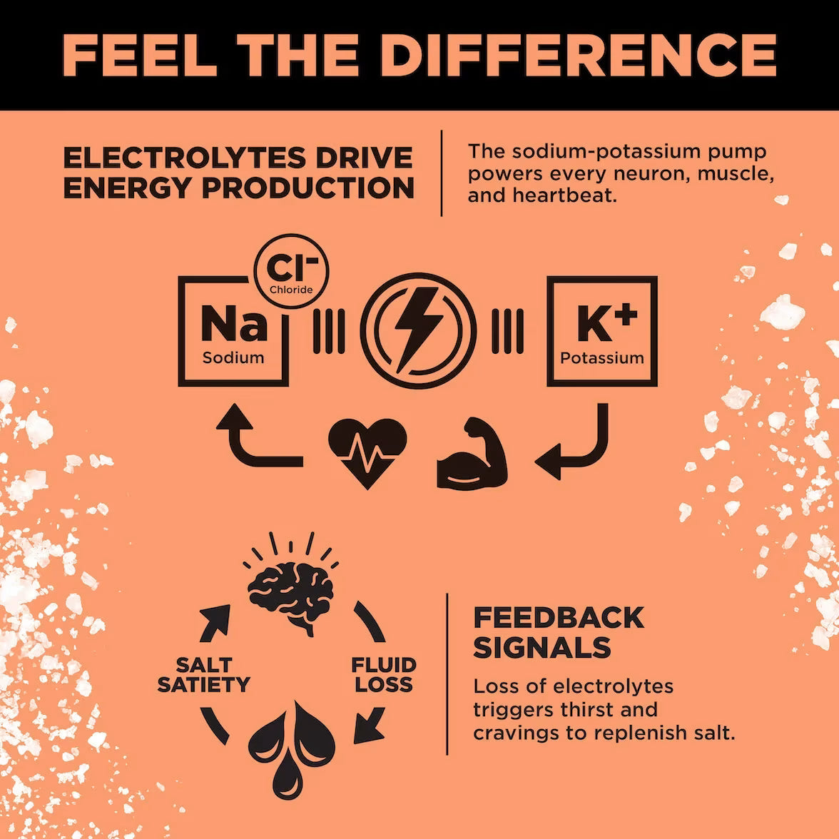 LMNT Zero-Sugar Electrolytes