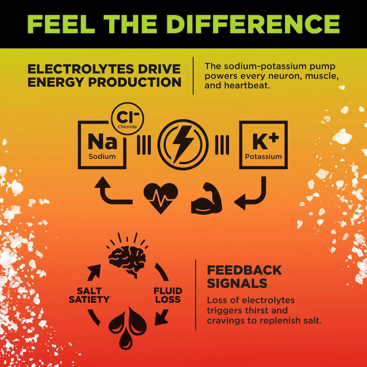 LMNT Zero-Sugar Electrolytes