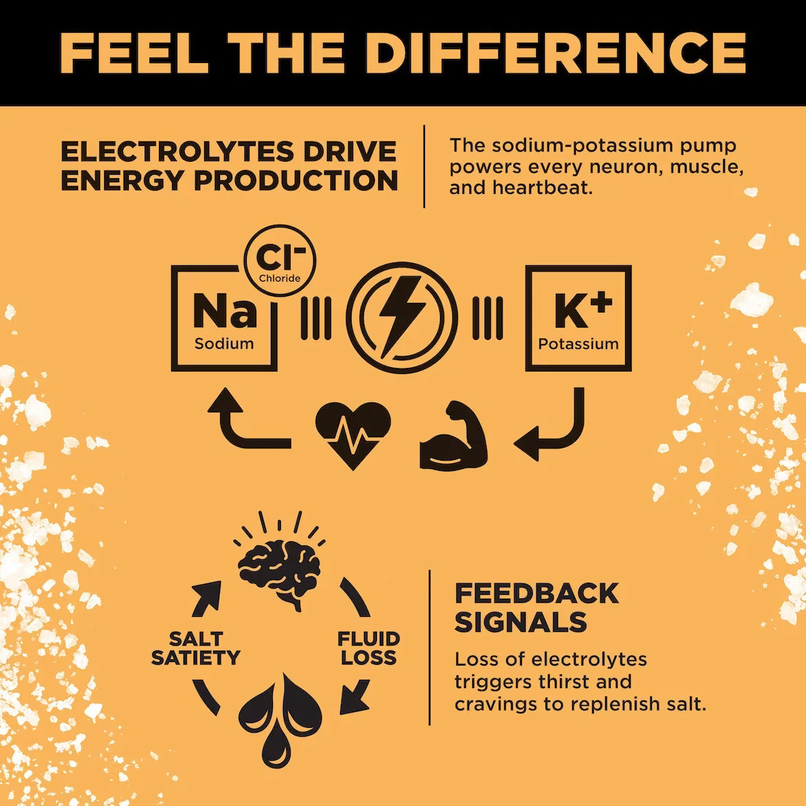 LMNT Zero-Sugar Electrolytes